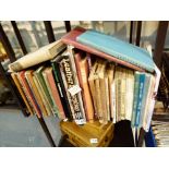 Shelf of leather books