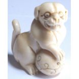 Early 20thC ivory Japanese signed netsuke of a dog with a ball