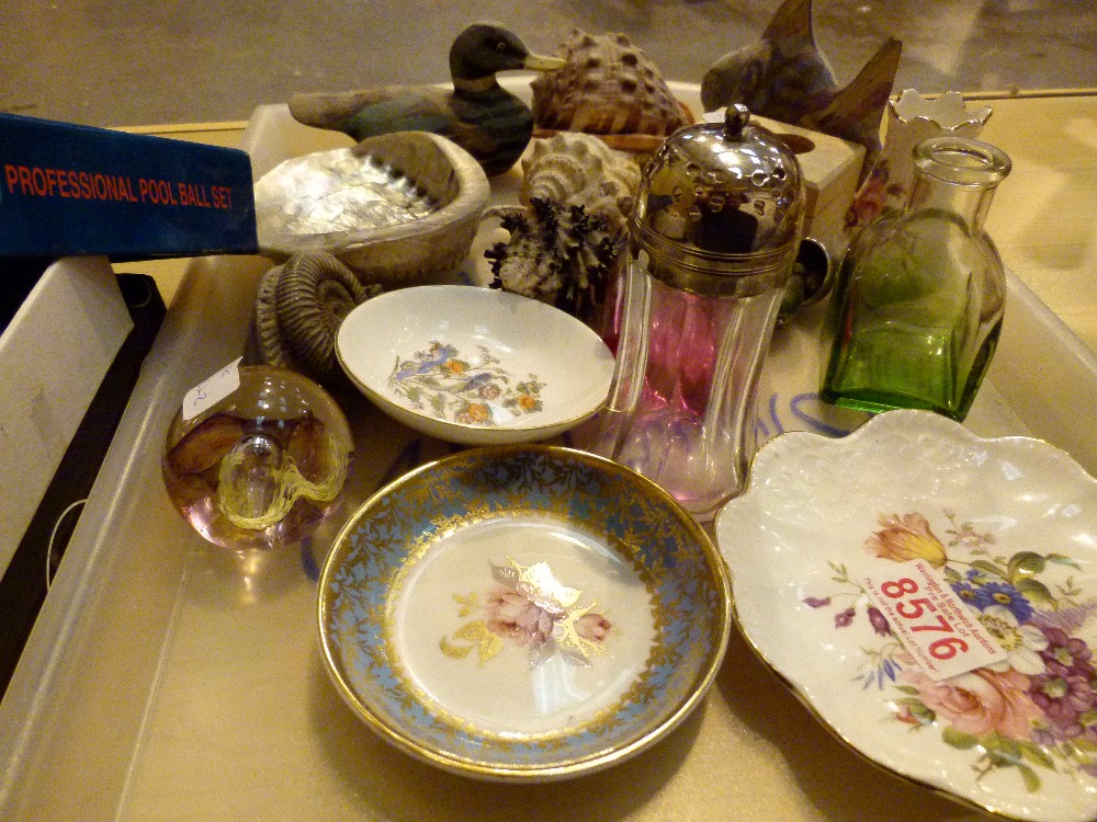 Tray of mixed items including shells