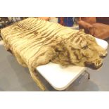 Antique tiger skin with head, replacement liner,