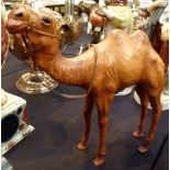 Leather Camel model,