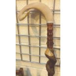 Large rams horn walking stick,