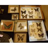 21 Framed and glazed butterflies,
