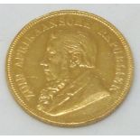 1898 full South African one pond gold coin coin