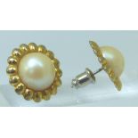 9ct gold and pearl earrings