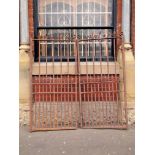 Pair of iron driveway gates of sturdy design with scroll and spike tops H: 168 W: 160 cm