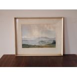 Signed Wyn Hyde framed watercolour depicticting an English lakeside view H : 24 cm L: 34 cm