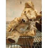 Plush fur pedigree teddy bear,