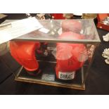 Double display boxing glove,