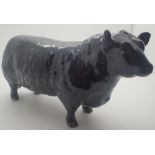 Beswick Aberdeen Angus bull gold backsta