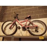 Moonrise boys mountain bike and girls mountain ridge bike