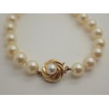 Single strand of real pearls with 9ct gold pearl set clasp,