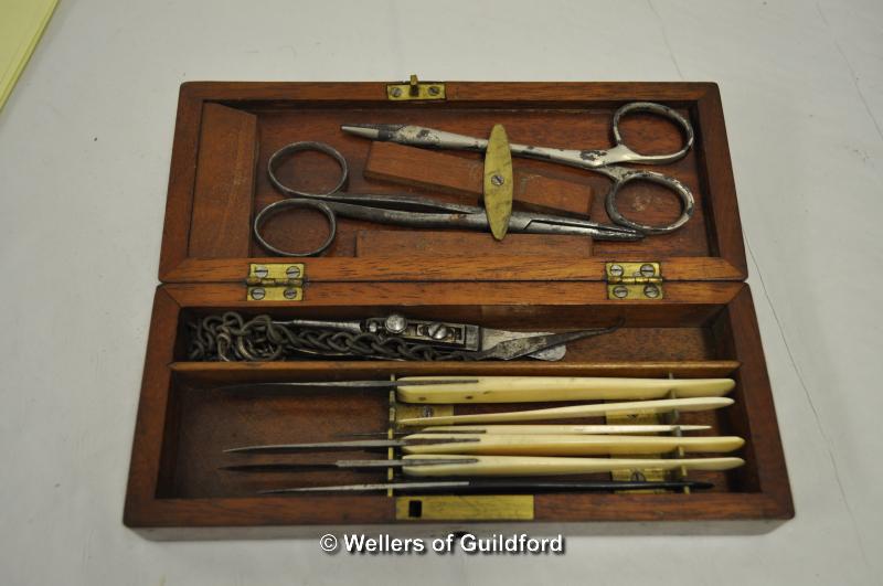 Vintage surgical instrument set, with bone and ebony handles