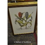 *Set of four large botanical prints (Lot subject to VAT)