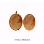 Shell cameo brooch, depicting the profile of a lady, within a 9ct yellow gold border, together