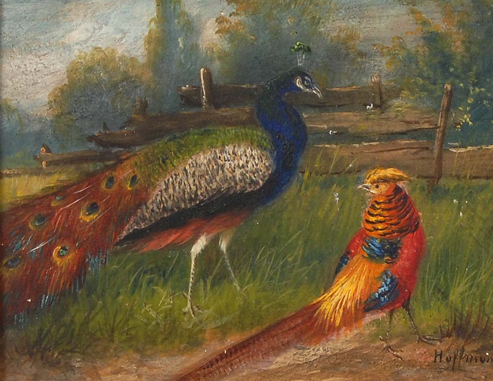 Hoffmann: Pfau und Goldfasan auf Wiese. Öl/Malkarton, rechts unten signiert, Ende 19. Jh. Die beiden