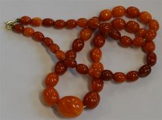 A graduated string of amber beads with ring clasp.
