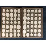 35 oval intaglios displayed upon two wooden trays.