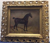 J CLARK: Oil on canvas of horse in gilt frame. App