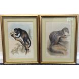 A pair of framed and glazed animal prints. Approx.