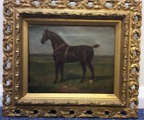 J CLARK: Oil on canvas of horse in gilt frame. Sig