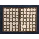 35 oval intaglios displayed upon two wooden trays.