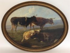 An oval framed oil on board depicting Highland cat