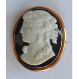 A large hard stone cameo of a lady's head in gold