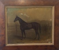 A maple framed oil on canvas of a stallion in gilt