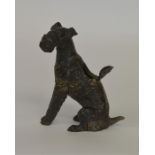 A bronze Airedale dog in seated position with two