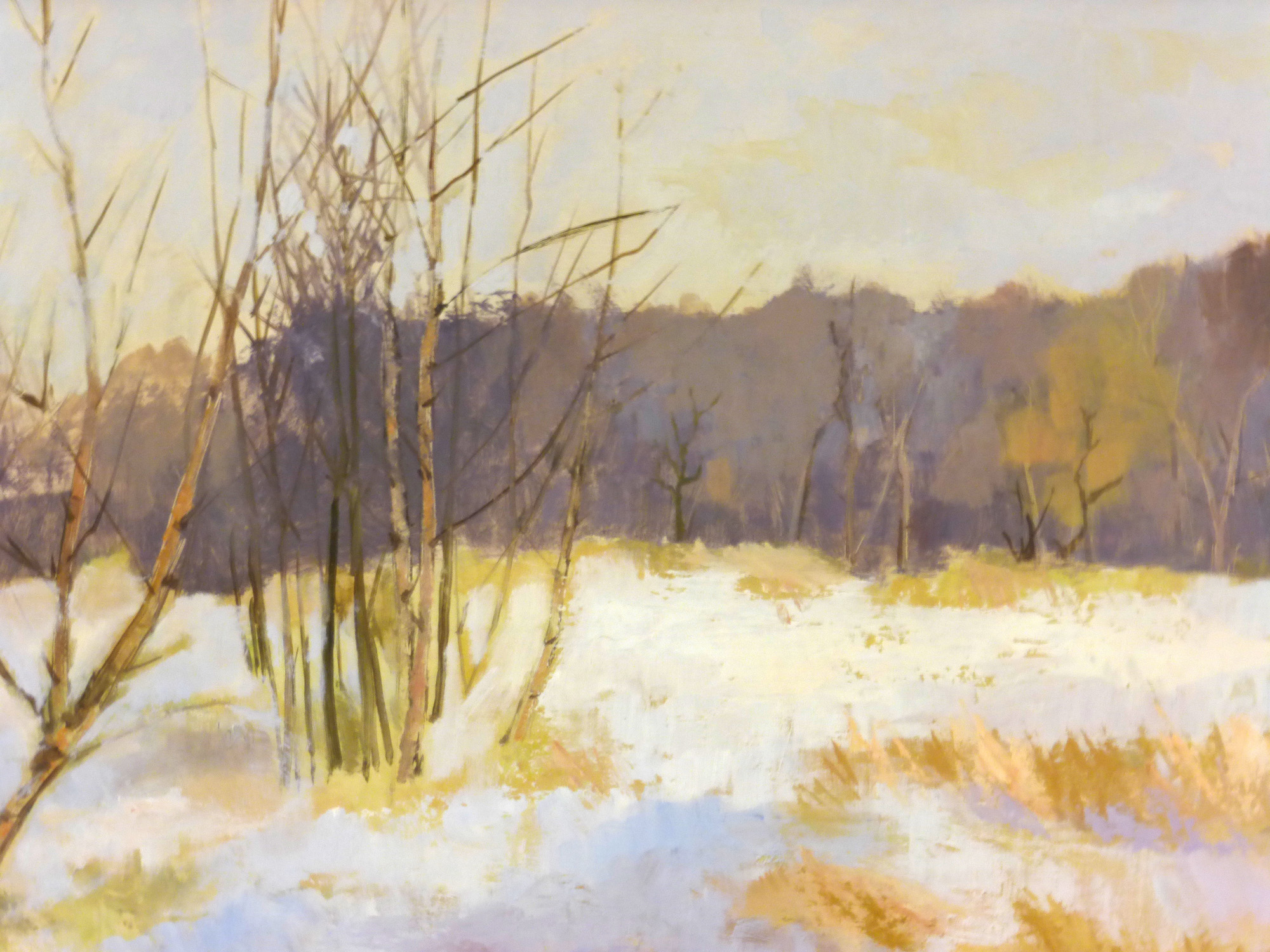 Iola Spafford, 'Lindow Common, signed, acrylics on board, 39 x 60 cm, framed,