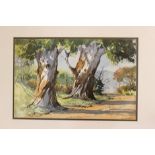 W.. J.. McGill, A study of a tree lined path, signed, watercolour. 29.