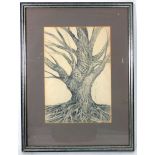 Nadine Gordon, Tree study, signed, pencil, 29.