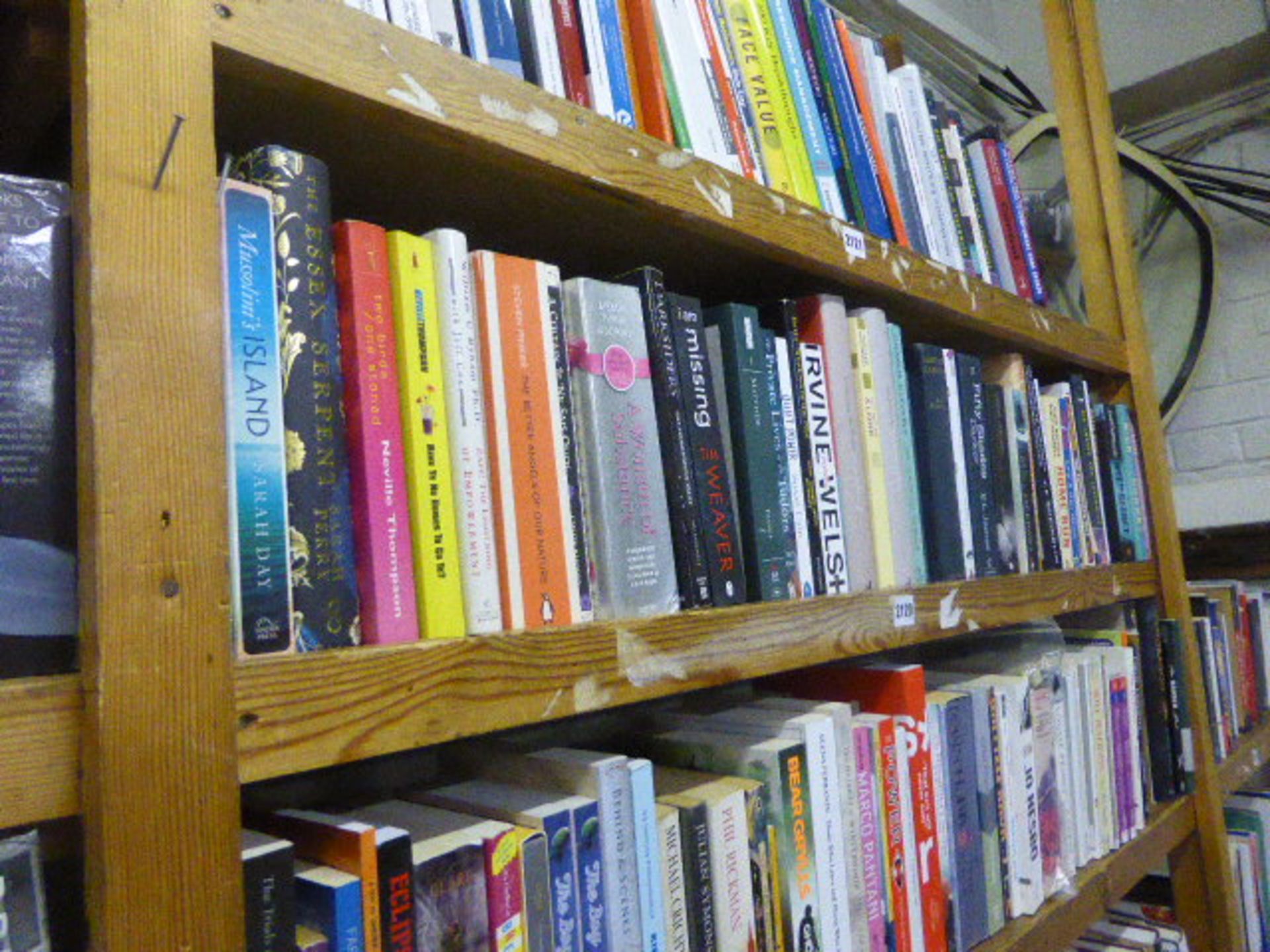 Shelf of fiction books
