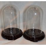 Pair Of Glass Exhibit Domes With Wooden Bases c1900s