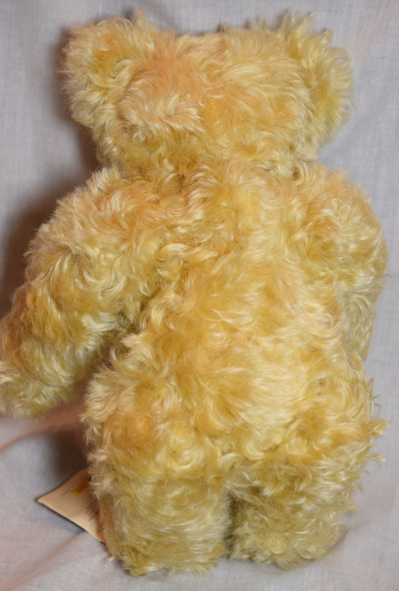 Steiff Classic Mohair Growler Bear 2002 - Image 7 of 7