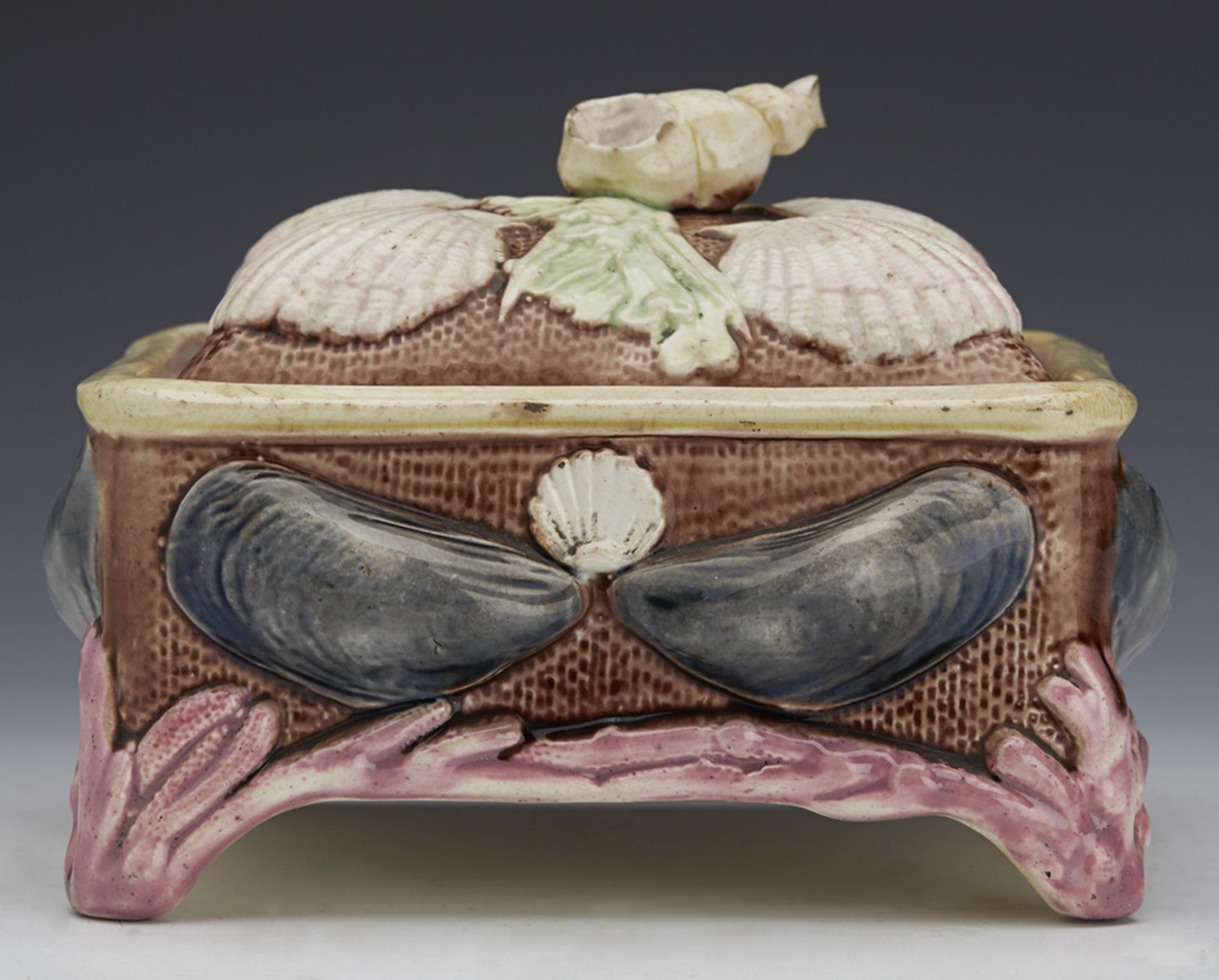 ANTIQUE ENGLISH MAJOLICA SARDINE WITH SHELLS AND SEAWEED C.1865 - Image 3 of 10