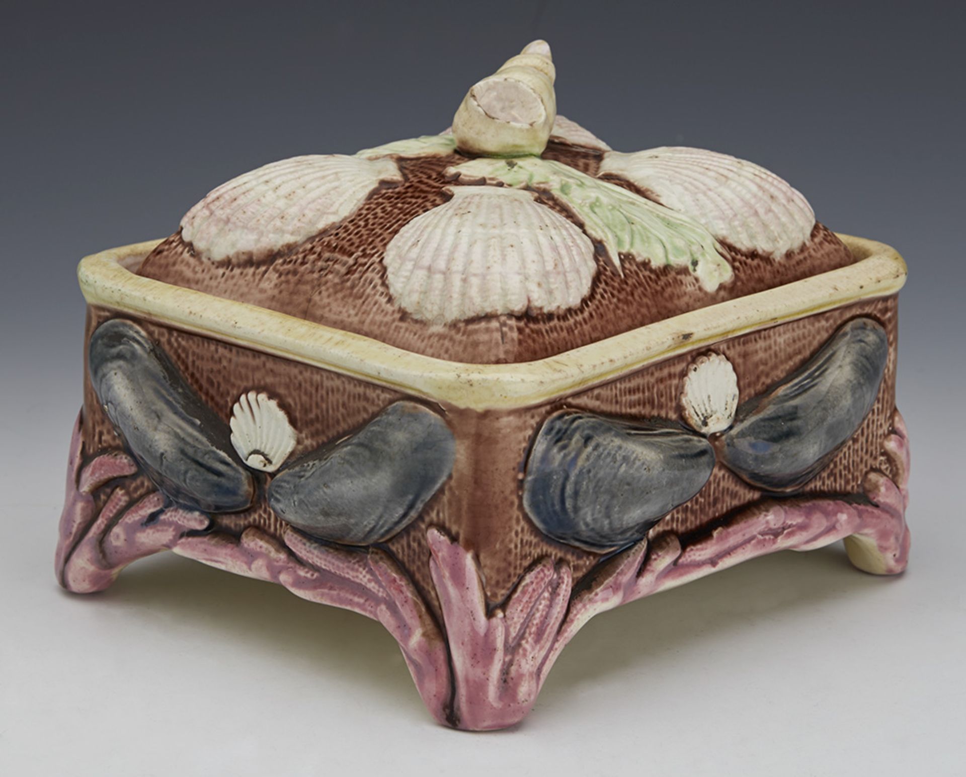 ANTIQUE ENGLISH MAJOLICA SARDINE WITH SHELLS AND SEAWEED C.1865