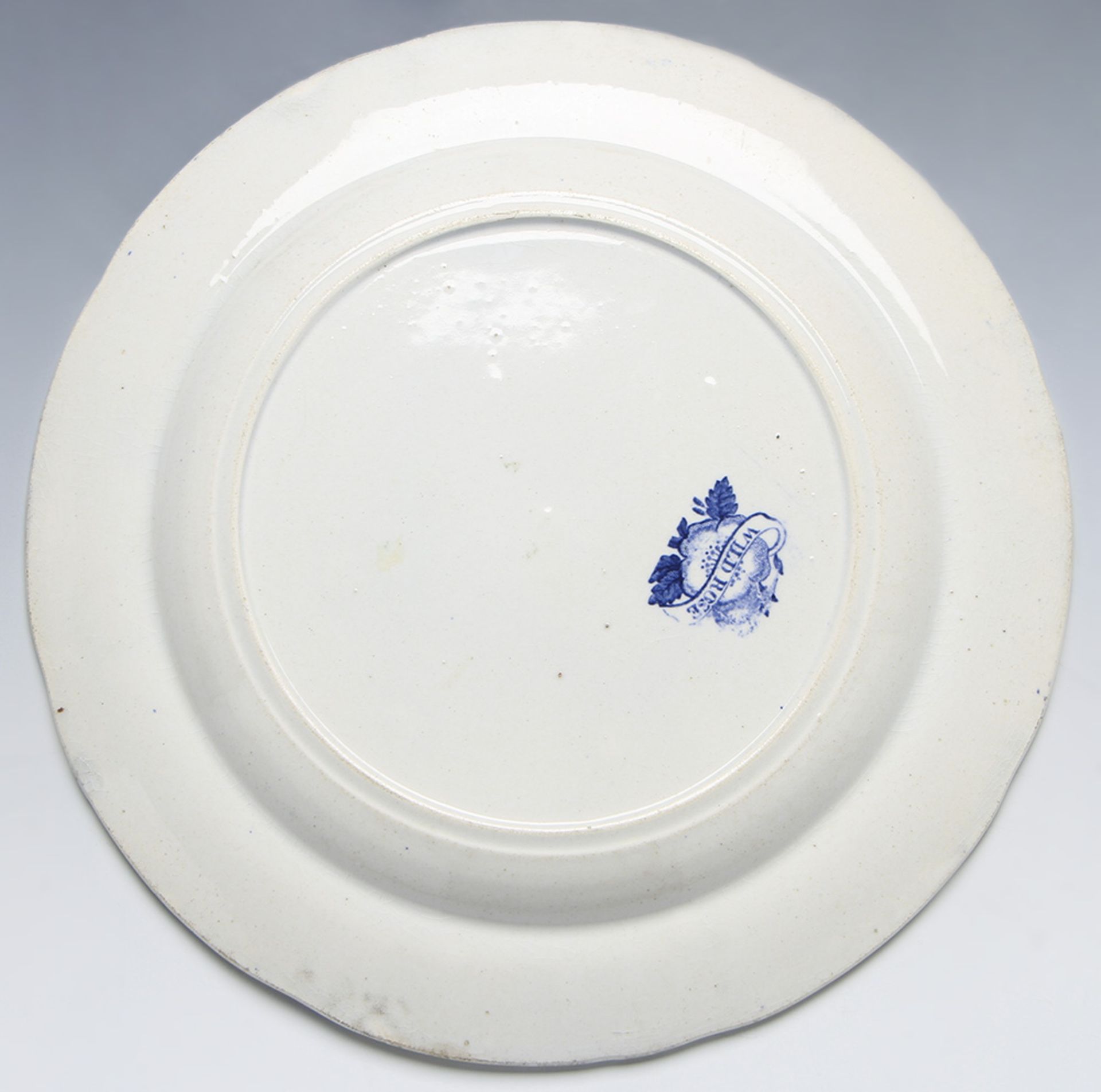 ANTIQUE STAFFORDSHIRE WILD ROSE BLUE & WHITE PLATE c.1830 - Image 4 of 11