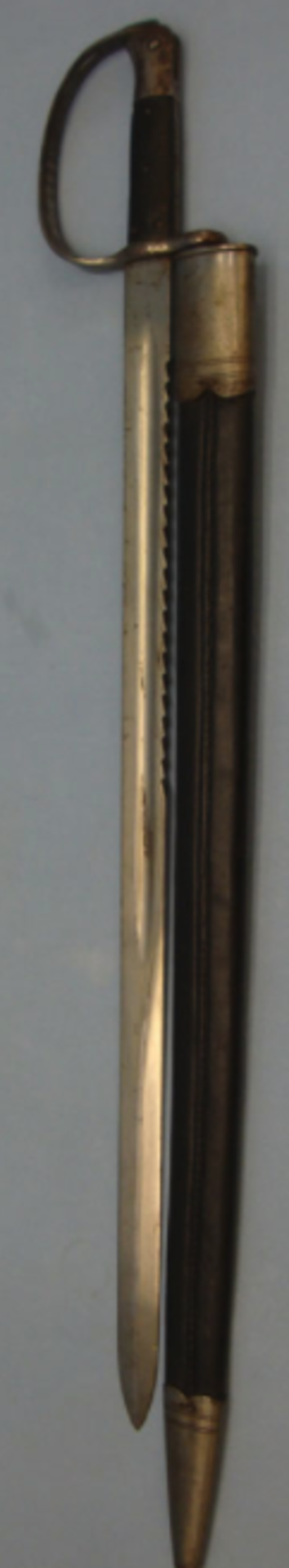 British 1879 Artillery Sawback Bayonet and Scabbard - Image 2 of 3