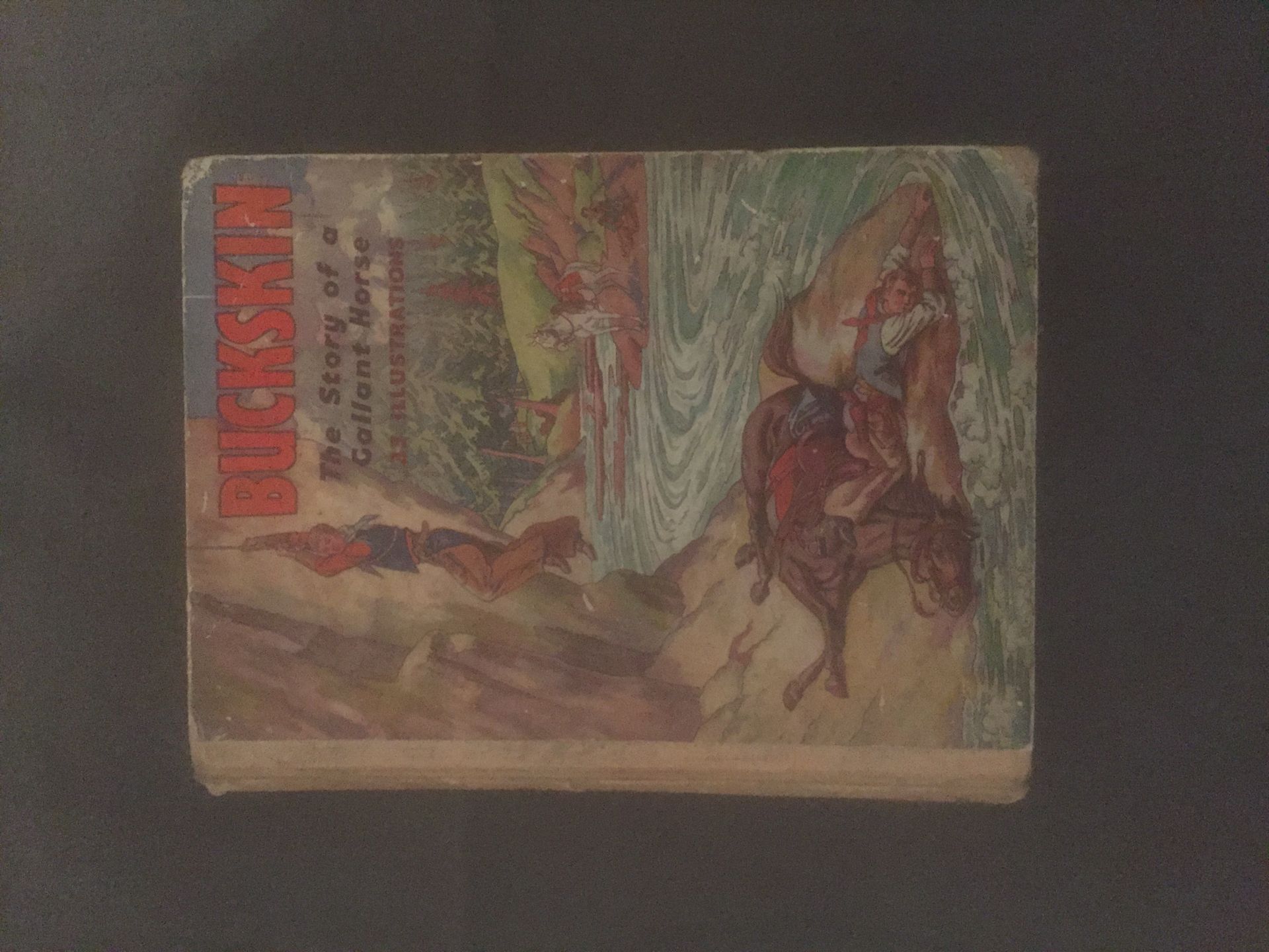 No Reserve BUCKSKIN THE STORY OF A GALLANT HORSE BOOK - 1949 - RARE