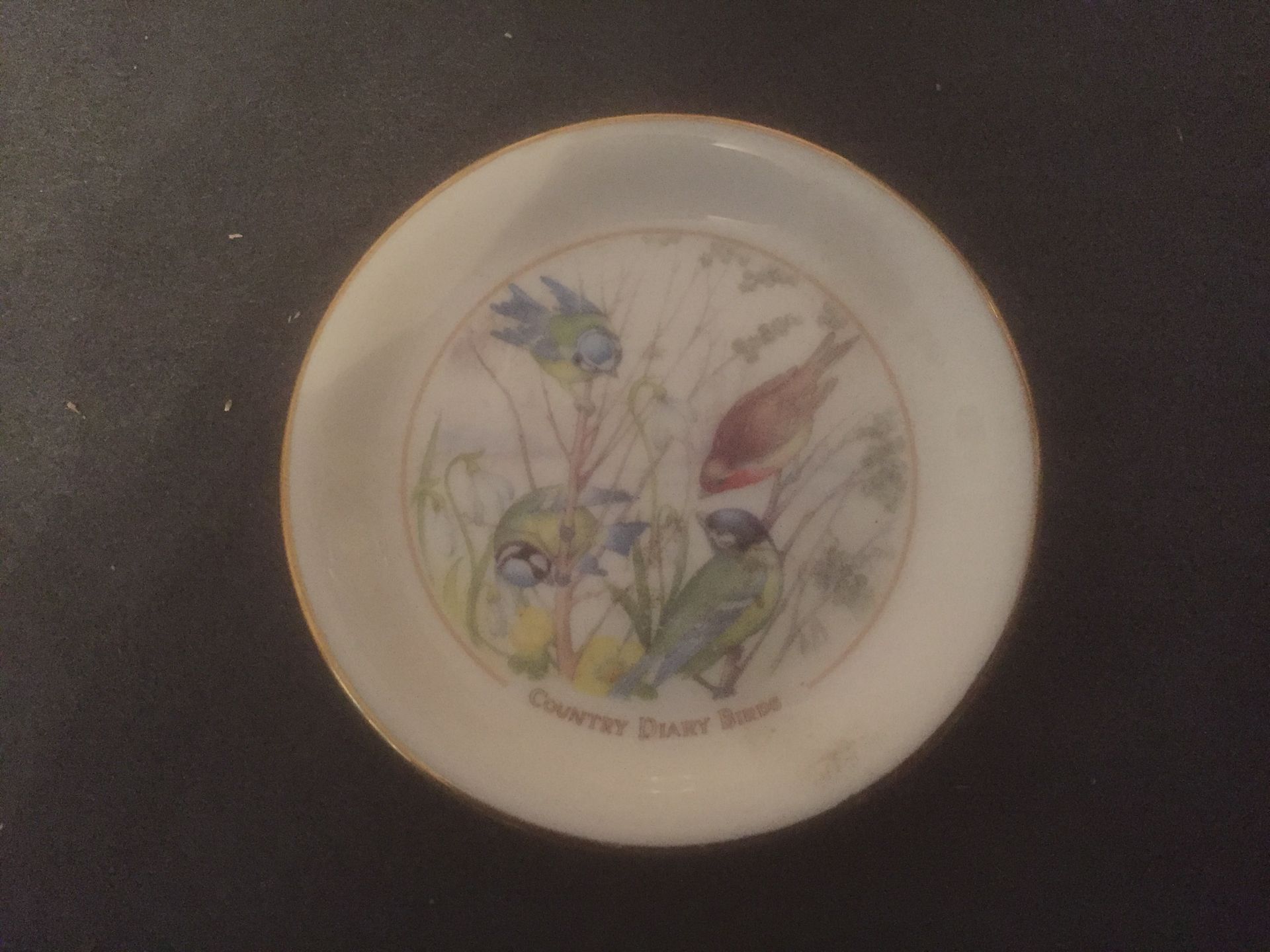 No Reserve COUNTRY DIARY BIRDS FINE CHINA PLATE - RICHARD WEBB 1977 - Image 2 of 2