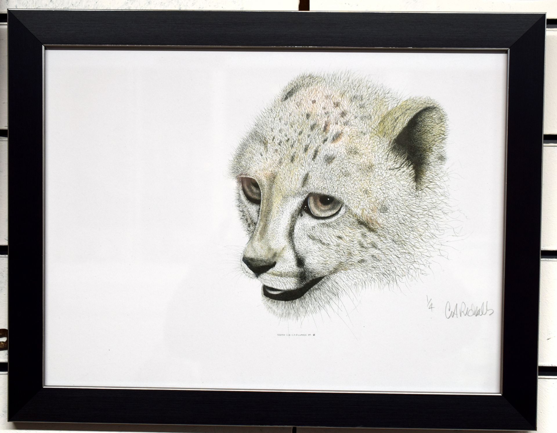 Limited Edition Print 1 of 4 of Cheetah Cub by Llanelli Artist Conway Richards.