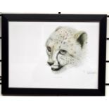 Limited Edition Print 1 of 4 of Cheetah Cub by Llanelli Artist Conway Richards.