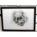 Limited Edition Print 1 of 4 of Baby Chimp by Llanelli Artist Conway Richards.