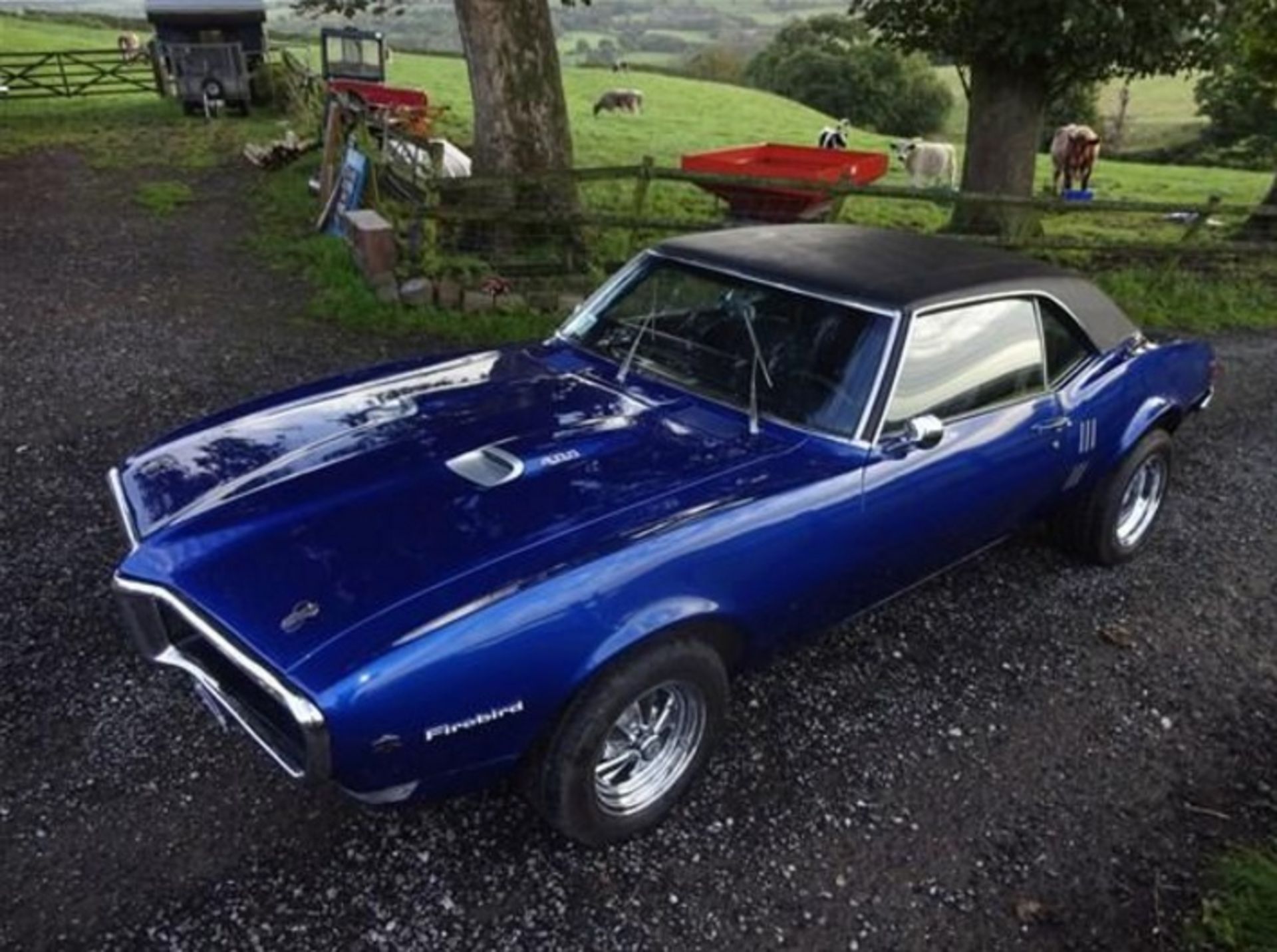 1968 Pontiac Firebird (Metallic Blue)