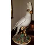 Ceramic Early 20th Century Cockatoo Figure