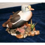 Vintage Royal Doulton King Eider Duck limited Edition