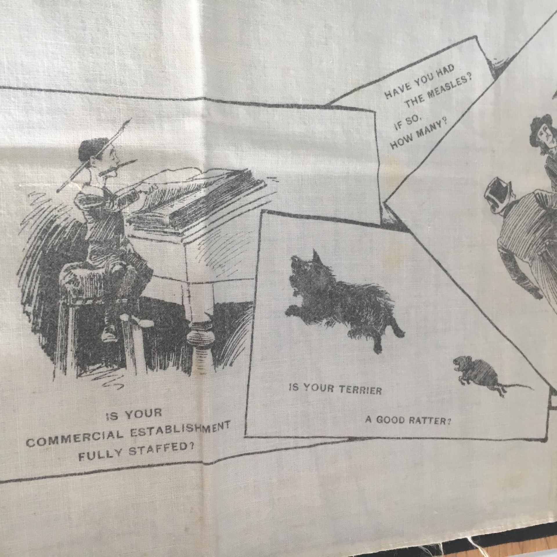 1891 "The Census Taker and Some Things He Wants to Know" printed Large Handkerchief. On cotton and - Image 5 of 7