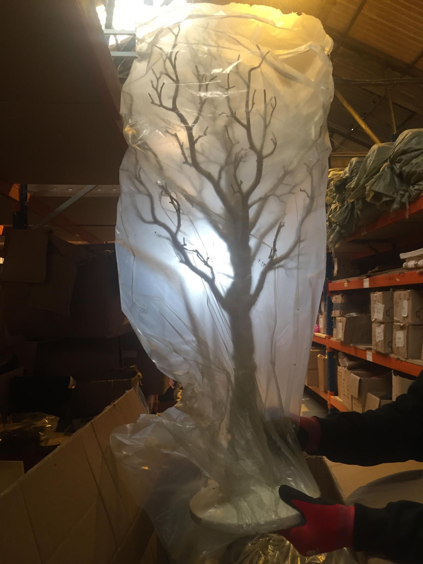 15 x Large manzanita wedding trees white - Image 2 of 2